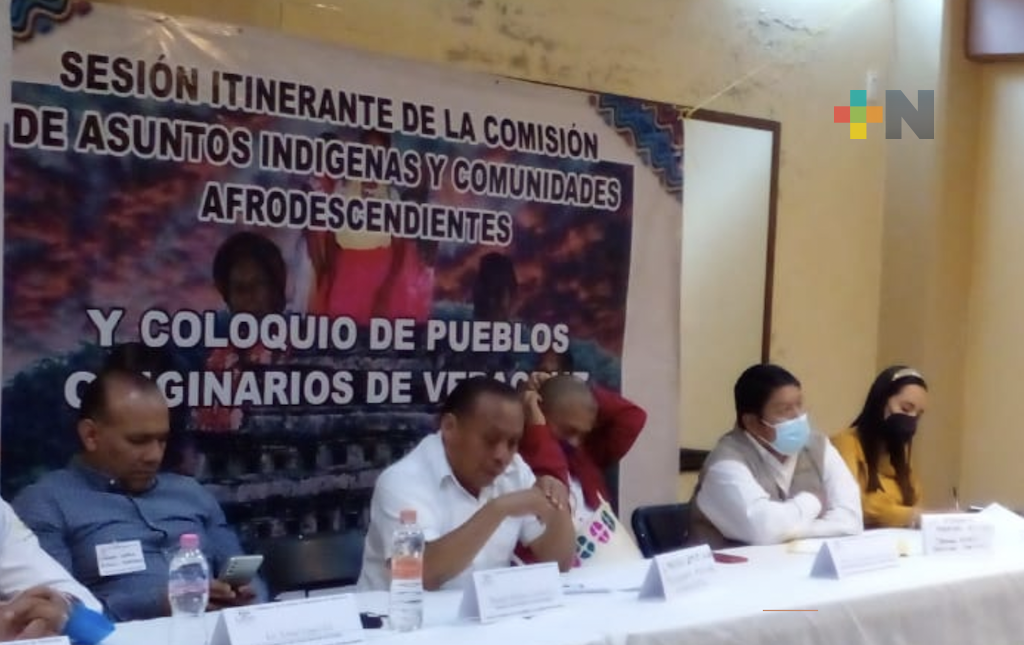 Comisión de Pueblos Originarios, atiende demandas de los grupos étnicos: Bonifacio Castillo