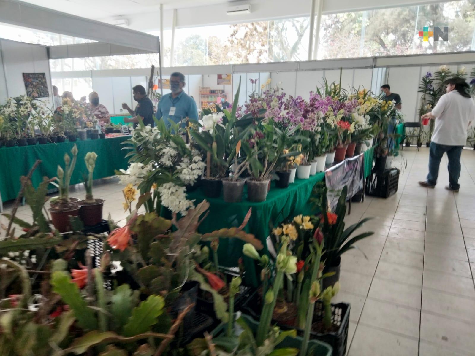 Inicia Festival Internacional de la Orquídea en Coatepec