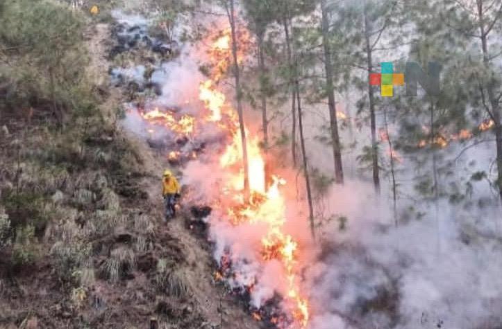 Protección Civil Estatal reporta al 70% controlado el incendio en Perote