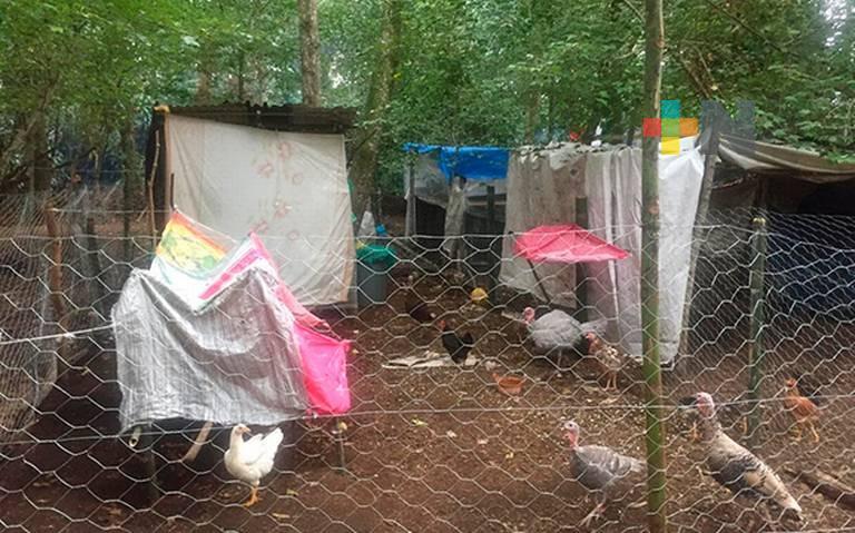 Piden se proceda con desalojo de invasores asentados en Jinicuil Manso, en Coatepec