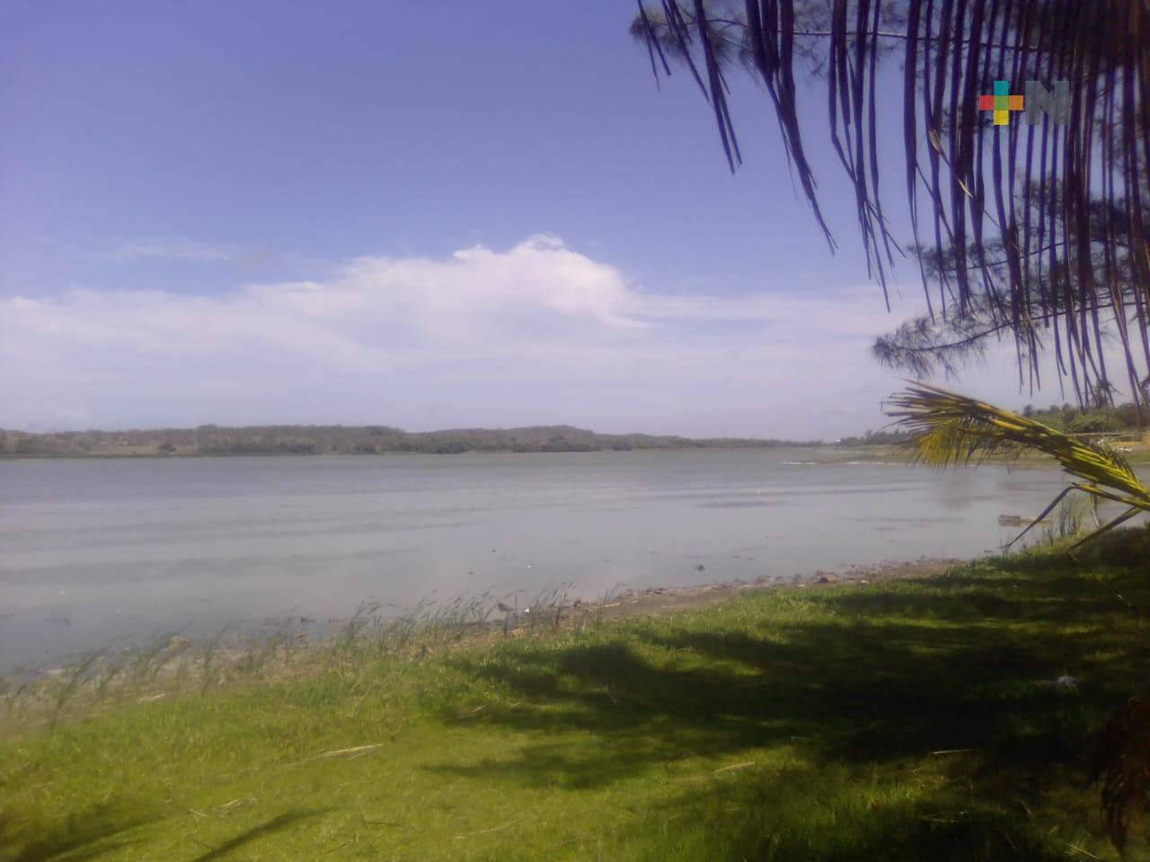 Atenderán laguna de San Julián en el municipio de Veracruz, confirmó Cuitláhuac García