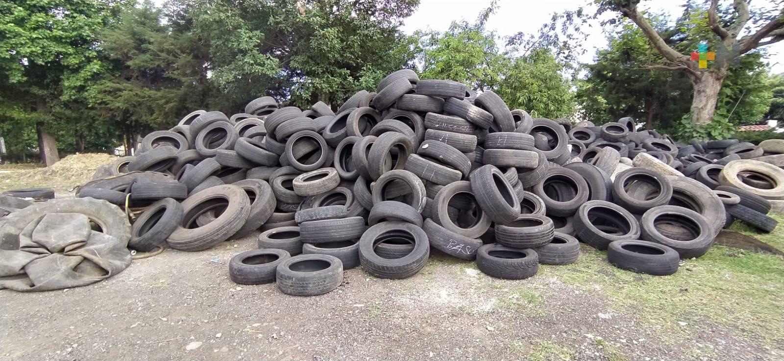 En Xalapa más de tres mil llantas han sido recicladas