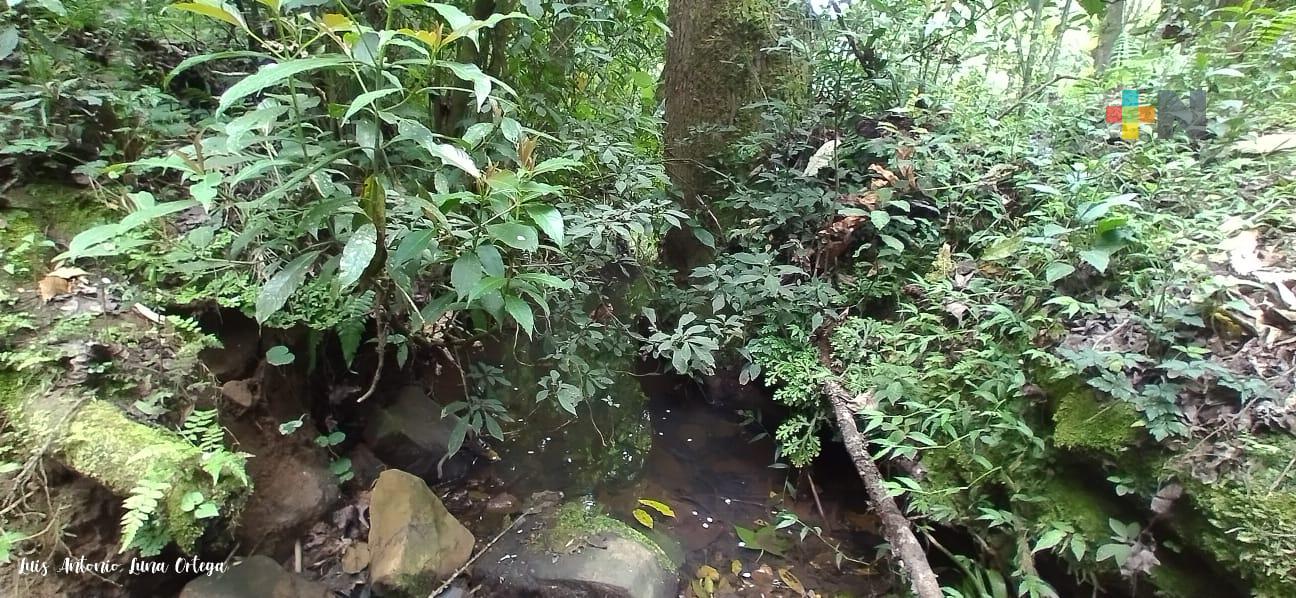 Conminan a paseantes a cuidar el área natural protegida de La Martinica