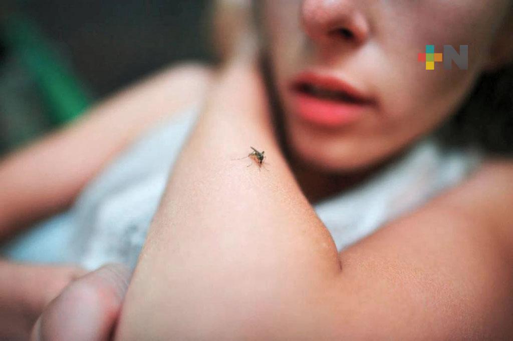 Detectan 38 casos de paludismo en zona sur de Veracruz