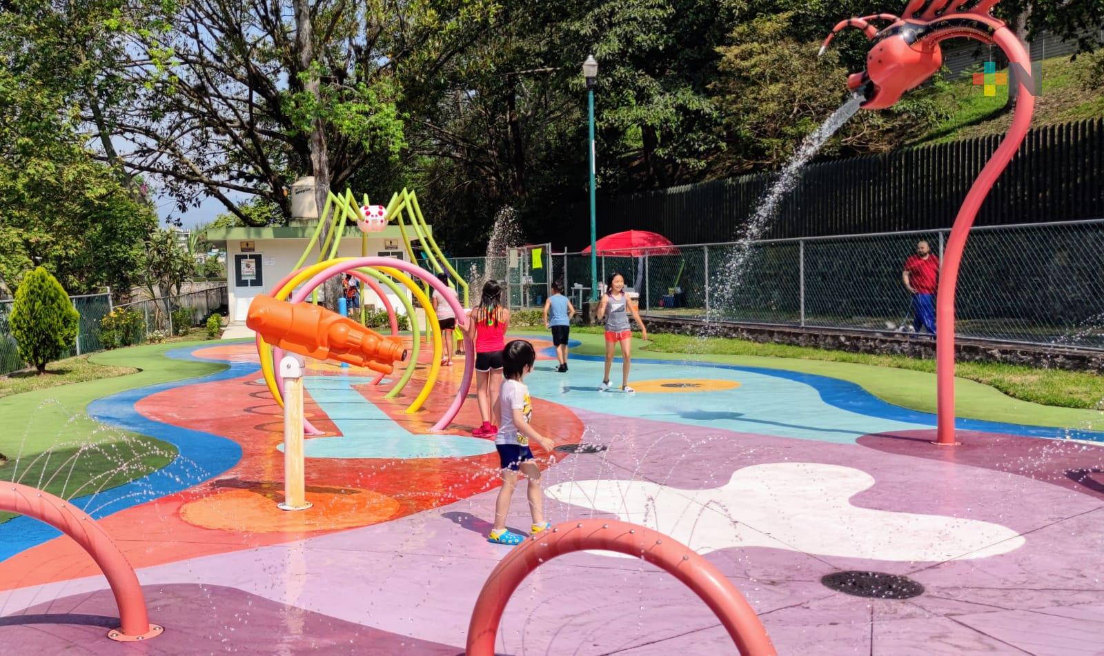 Niños se divierten en parque acuático de Xalapa