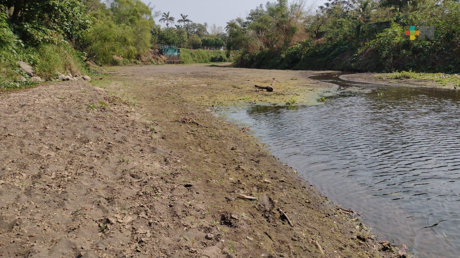 Río Jamapa en su nivel más bajo por falta de lluvias