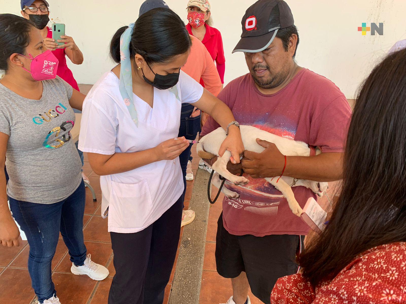 Jornadas de vacunación antirrábica para mascotas en Coatzacoalcos