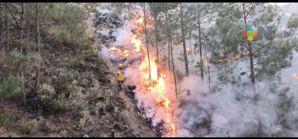 Preparado PC-Veracruz para contener incendios forestales