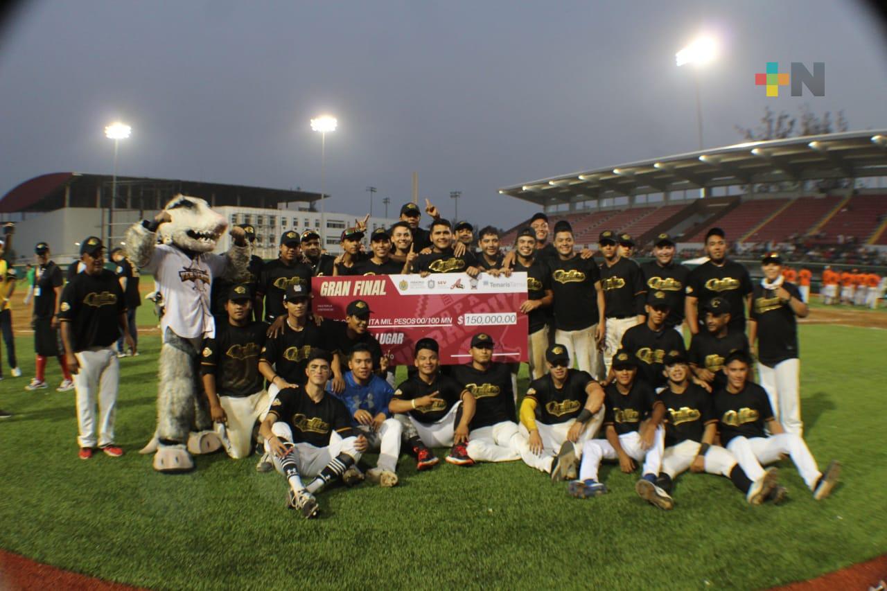 Gracias al éxito de la Copa Veracruz, habrá torneo de futbol y uno de béisbol invernal