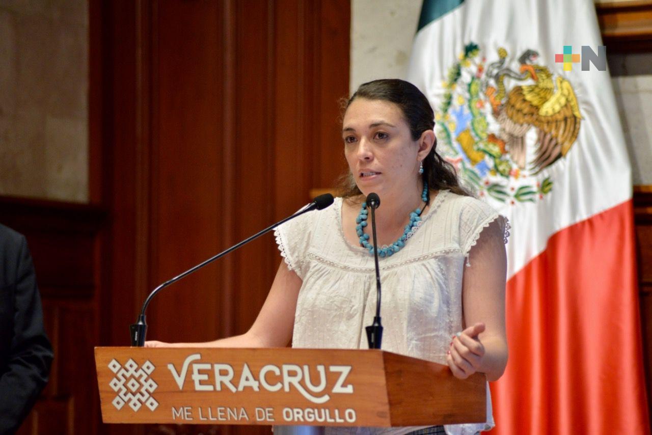 En Veracruz, se encuentran activos varios incendios forestales: Guadalupe Osorno