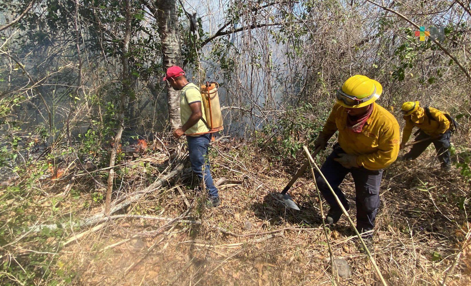 Protección Civil Estatal atiende y controla incendio de pastizal en Mozomboa