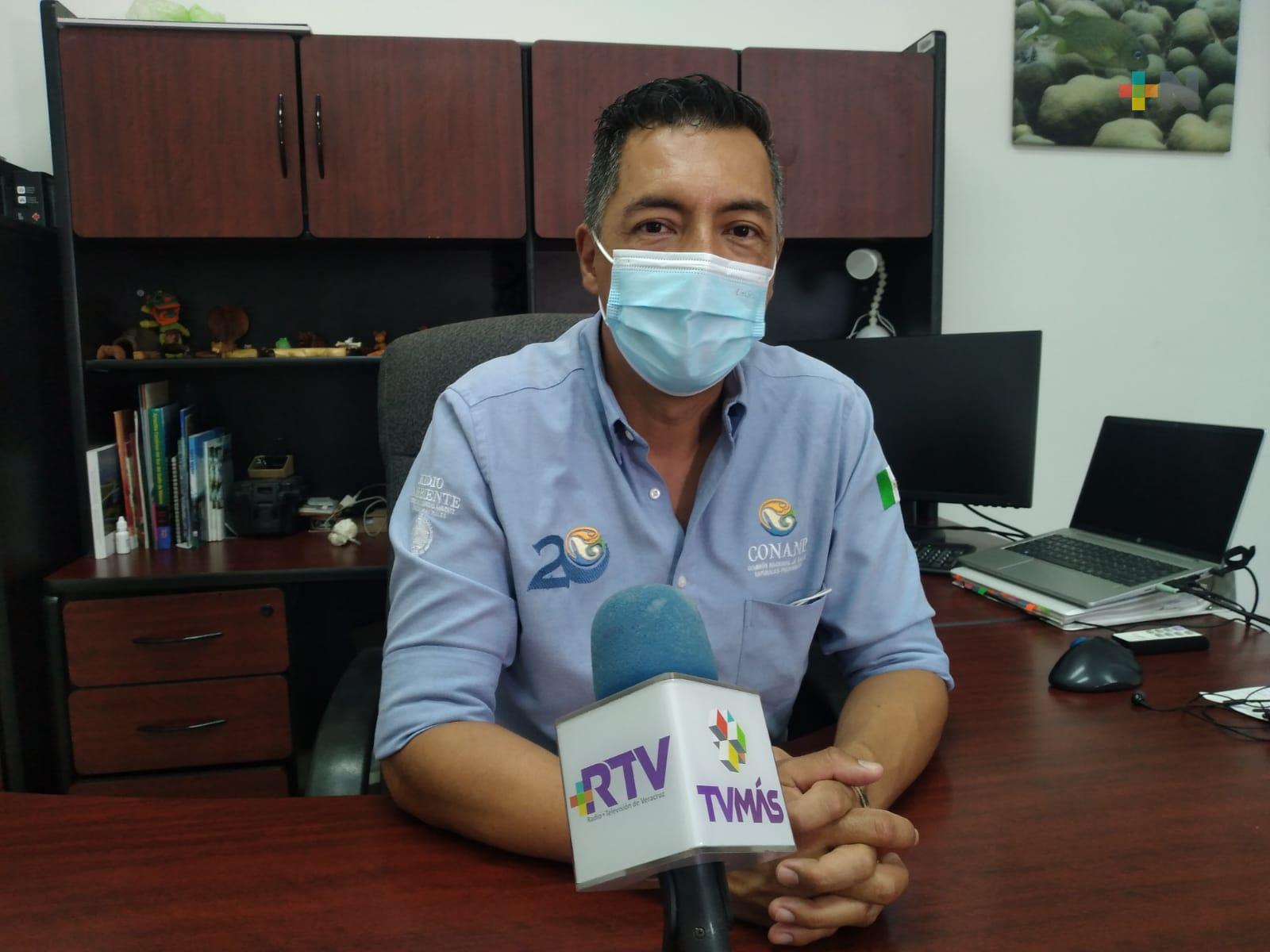 Piden a la población respetar y proteger desove de tortugas marinas