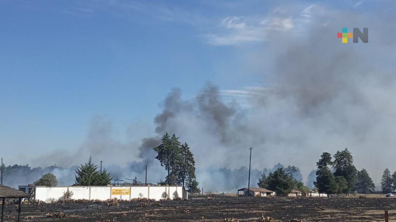 En Perote, la SPC confirma incendio controlado de pastizal