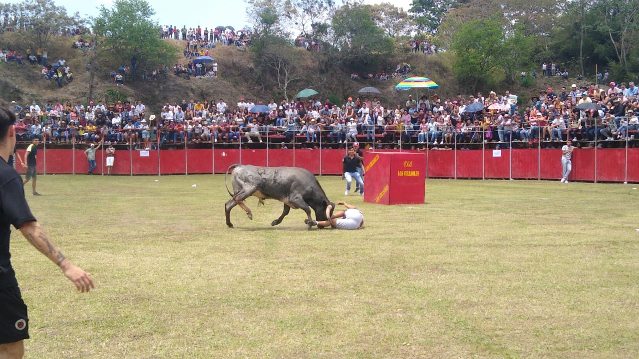 Regresó la «San Marqueñada», suelta de toros dejó dos heridos