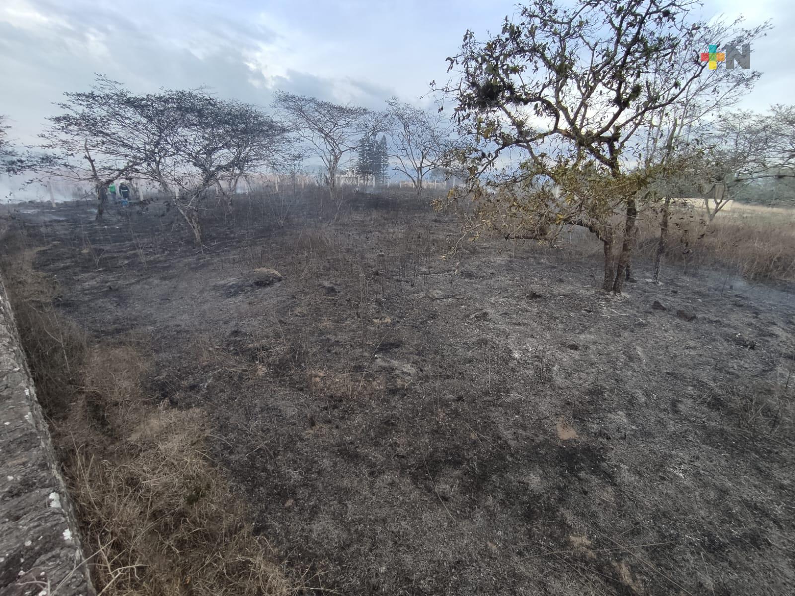 Cierre de incendio en pastizal de Emiliano Zapata