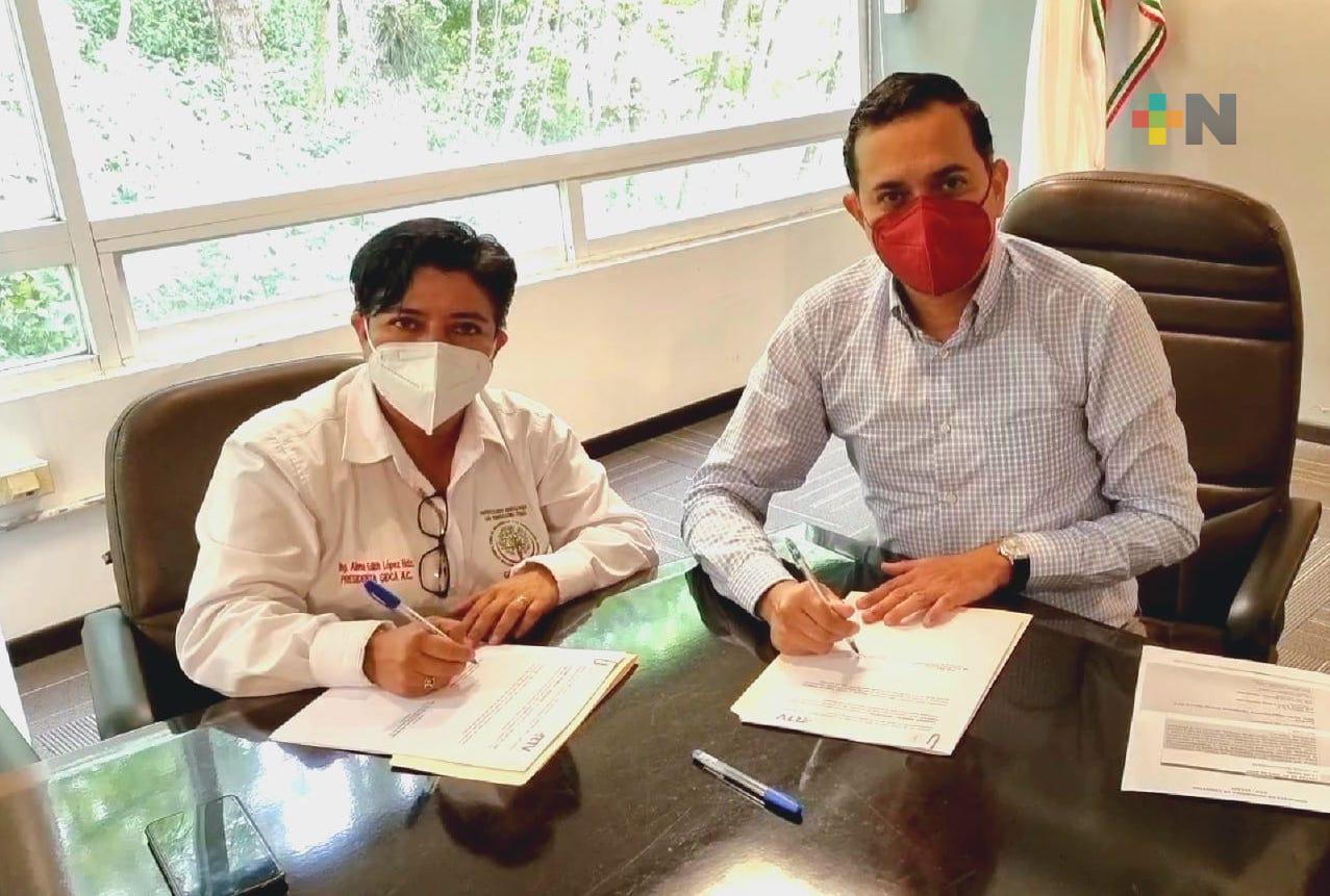 Coadyuvan a proteger el Bosque del Cerro de la Galaxia, RTV y GIDCA