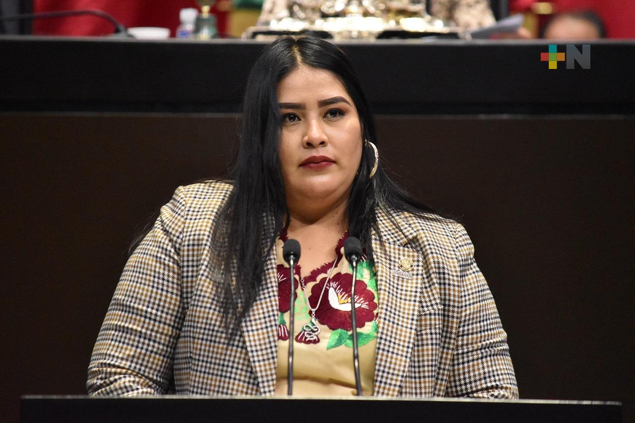 Plantean diputadas de Morena tipificar como delito electoral la usurpación de  identidad indígena