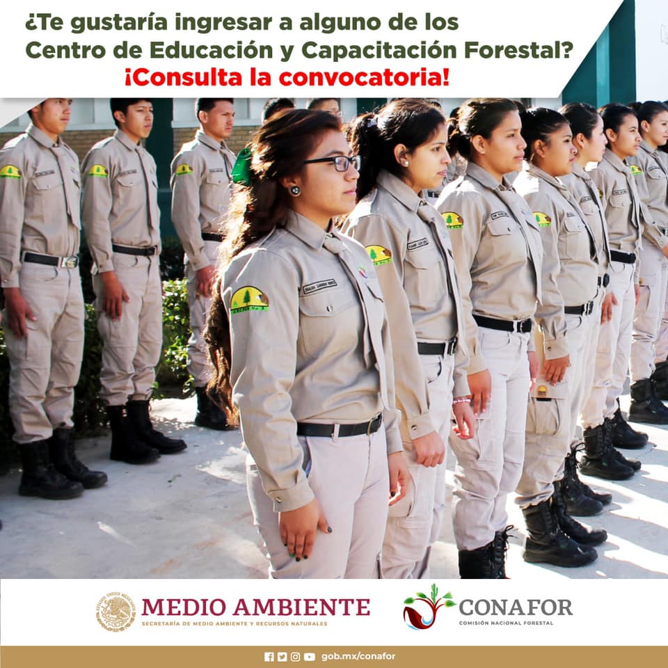 Conafor abre convocatoria para ingresar a Centros de Educación y Capacitación Forestal