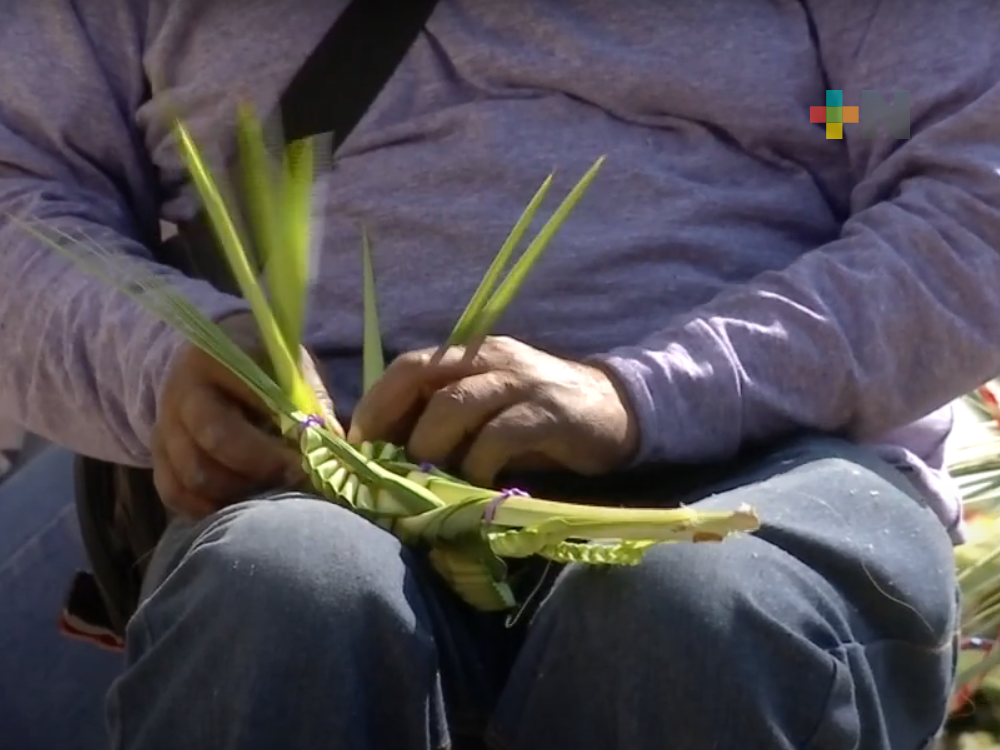Celebración del Domingo de Ramos en Xalapa
