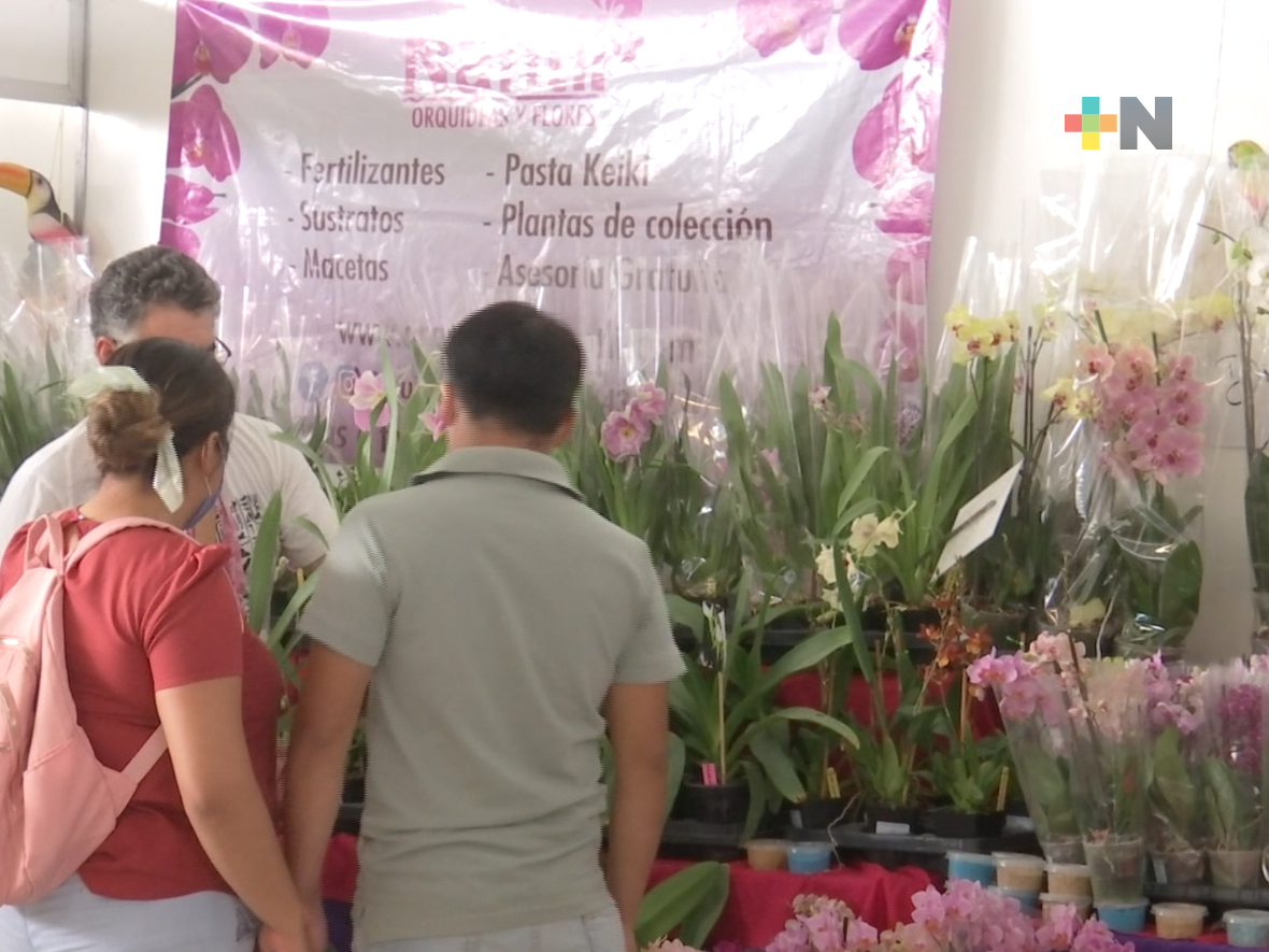 Feria Internacional de la Orquídea, un atractivo para locales y visitantes de oatepec