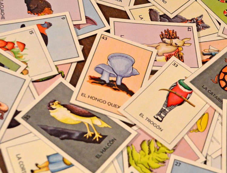 Presentan colección del material didáctico “Los habitantes del bosque de niebla”