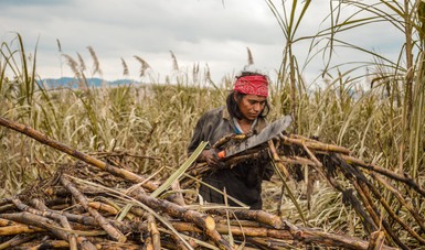 Entrega Producción para el Bienestar apoyos directos a más de 1.7 millones de productores de pequeña y mediana escala