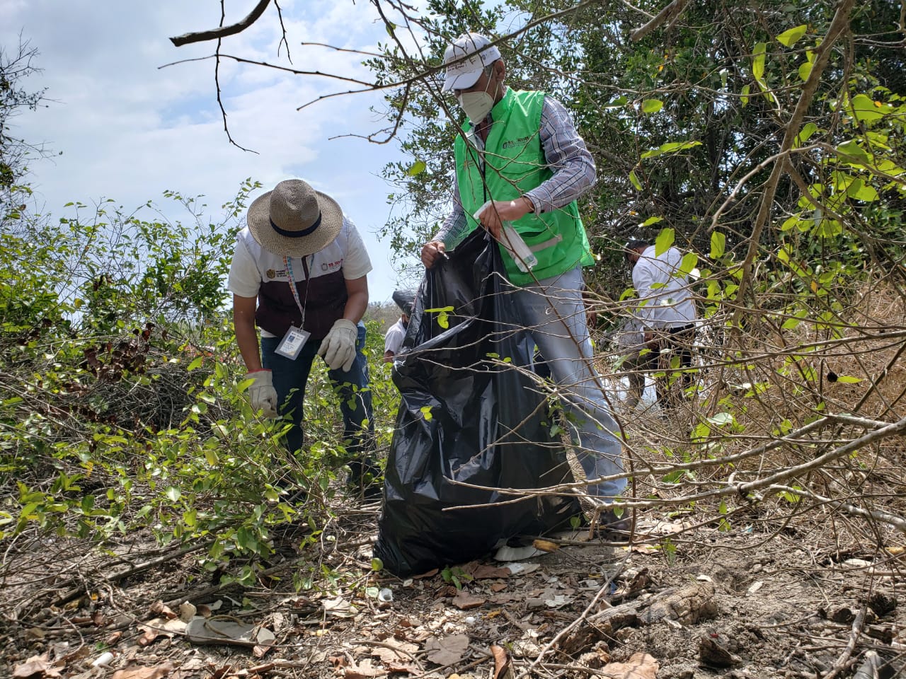 SS-SESVER realiza saneamiento ambiental en laguna de Pueblo Viejo, productora de ostiones