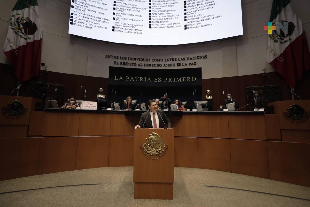 Fundamental, elevar a rango constitucional derecho humano a la energía, consideran en el Senado
