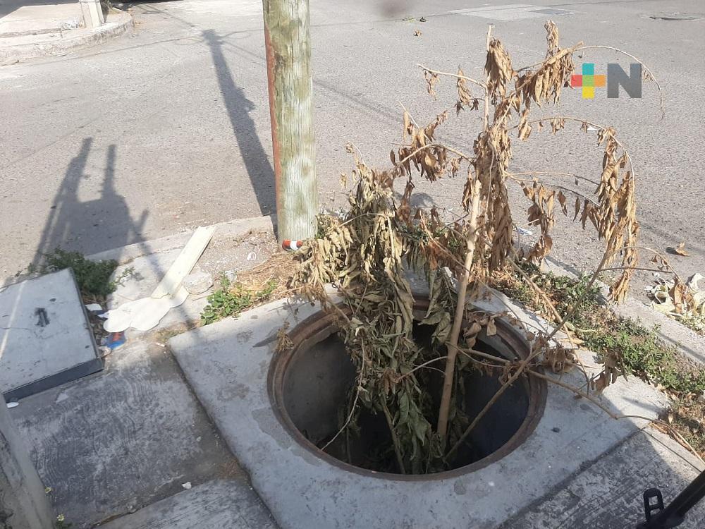 Registro sin tapa ocasiona accidentes en fraccionamiento de la ciudad de Veracruz