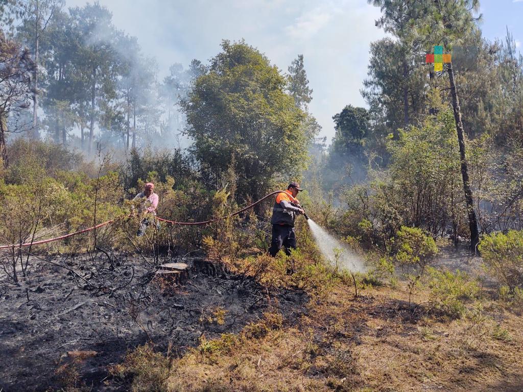 De enero a la fecha suman 190 incendios forestales en Veracruz
