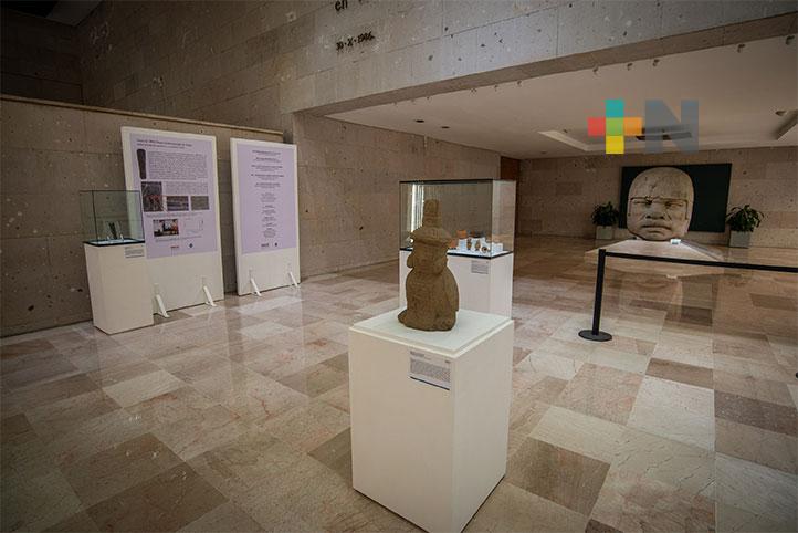 MAX será gratuito para comunidad UV y domingos para público en general