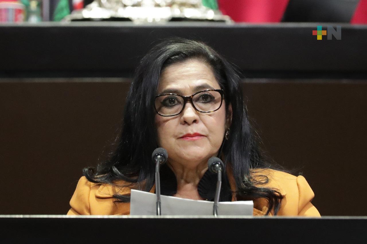 Impulsa Blanca Narro iniciativa para establecer restricción para personas deudoras alimentarias