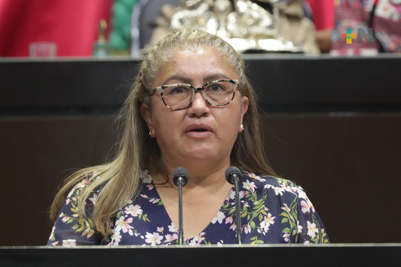 Impulsan iniciativa para reducir a 100 el número de diputadas y diputados de representación proporcional