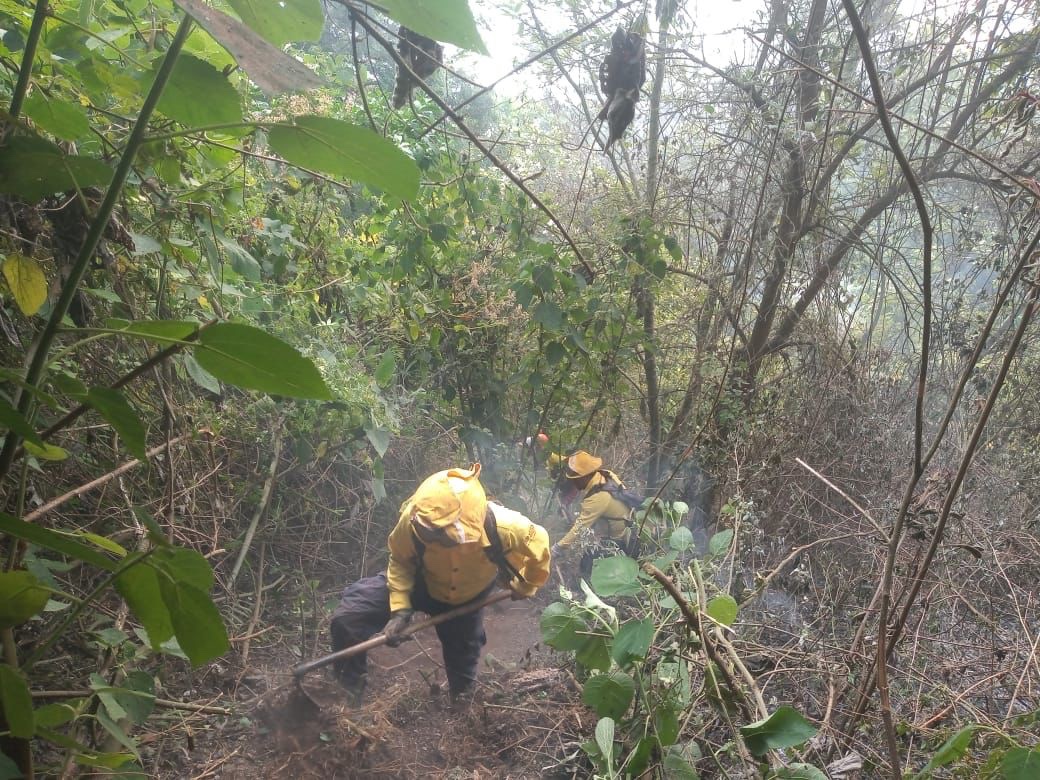 Reportan controlado incendio forestal en Teocelo