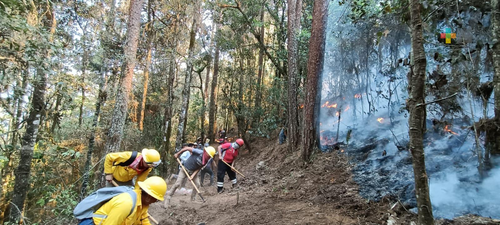 Incendio forestal de Acajete con un 60% de control y 40% de liquidación