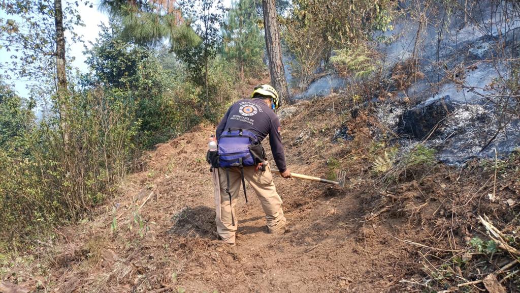 A la fecha más de dos mil hectáreas afectadas por incendios forestales en la entidad veracruzana