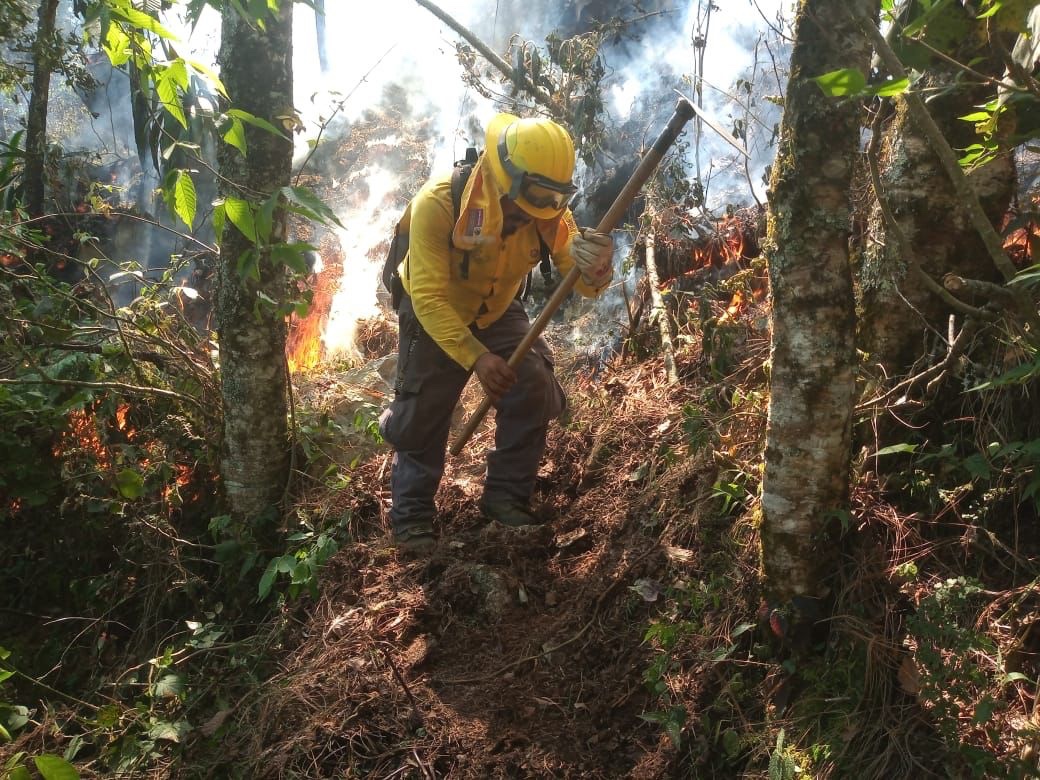 SPC atiende diversos incendios forestales en el estado