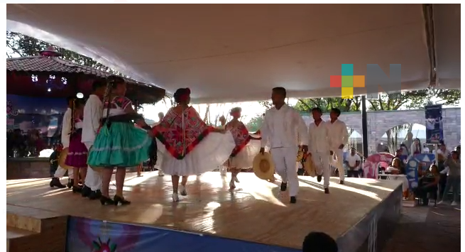 Se realiza en Huayacocotla, Primer Concurso Nacional de Huapango