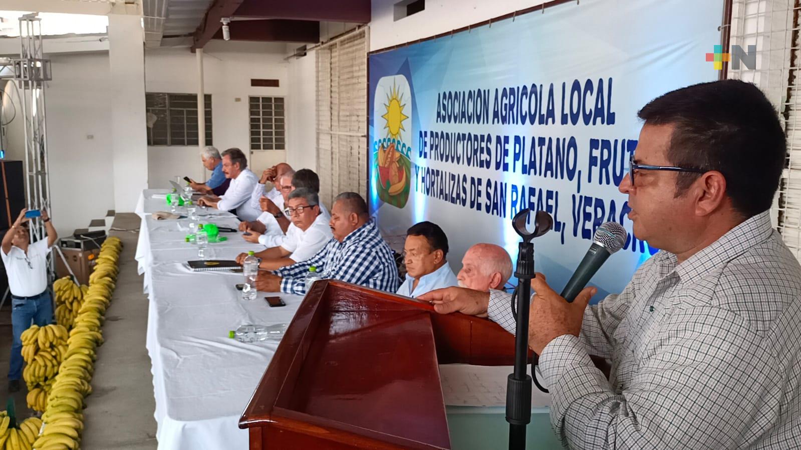 Luis Grappin Pumarino continúa al frente de la Asociación Agrícola Local de Productores de Plátano Frutas y Hortalizas de San Rafael