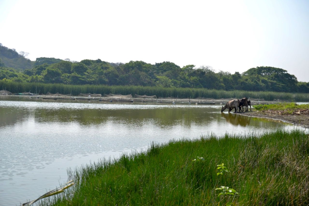 Rescatar laguna San Julián requiere inversión de 70 mdp; esperan aprobación federal