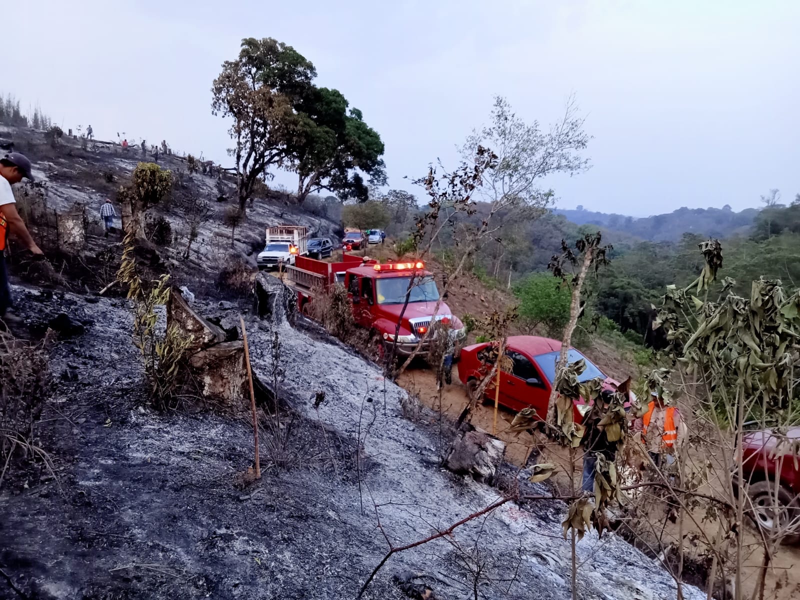 SPC atiende este domingo, 13 incendios forestales