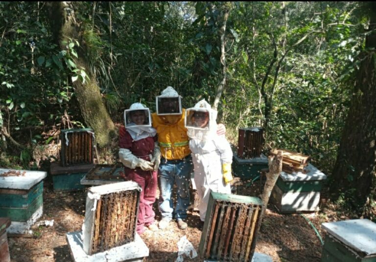 En la Casa de Cultura de Coatepec se presenta el Festival “Abejas y fertilidad”