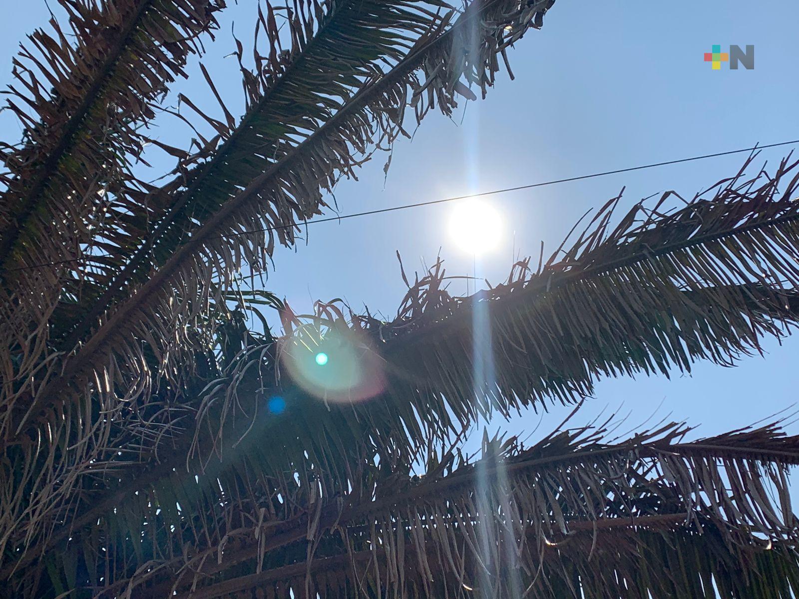 Alertan a población de zona sur por altas temperaturas en días próximos