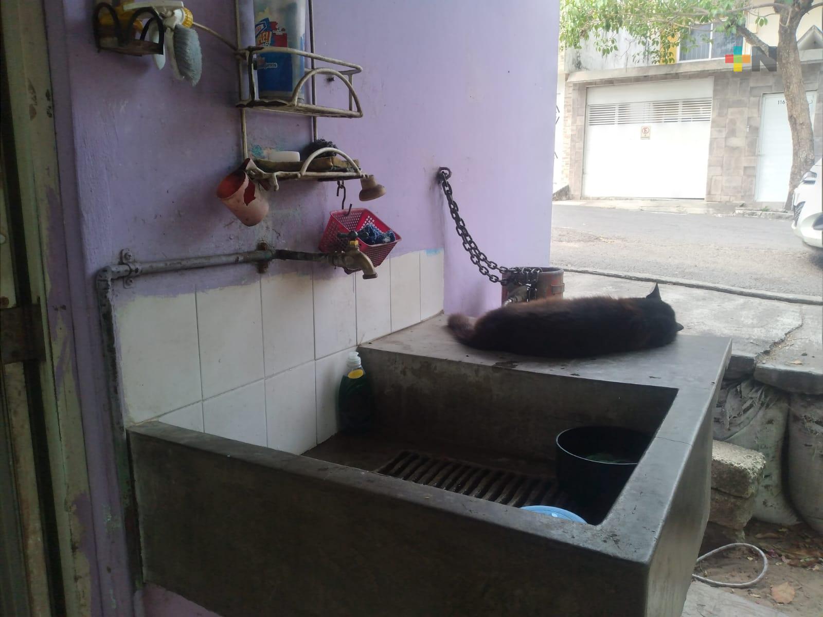 Escasez de agua se agudiza en colonias de Veracruz