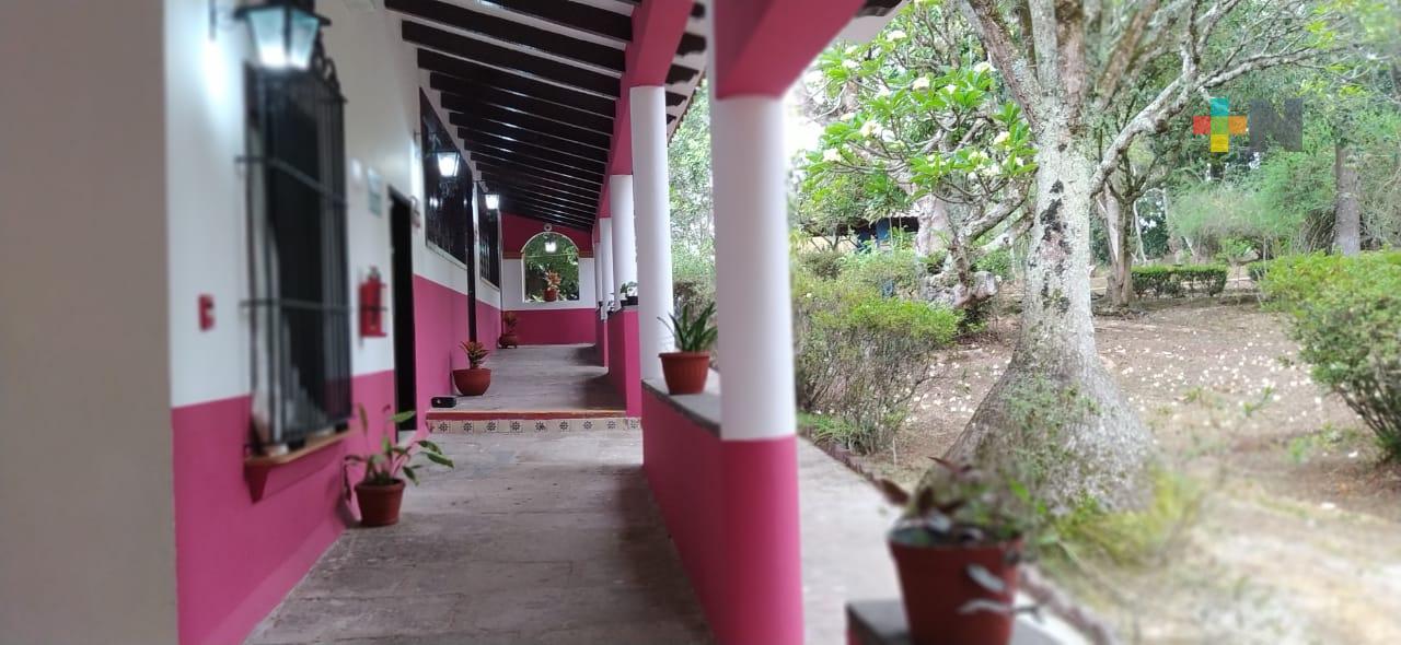 Talleres y áreas de juegos ofrece Estancia Garnica