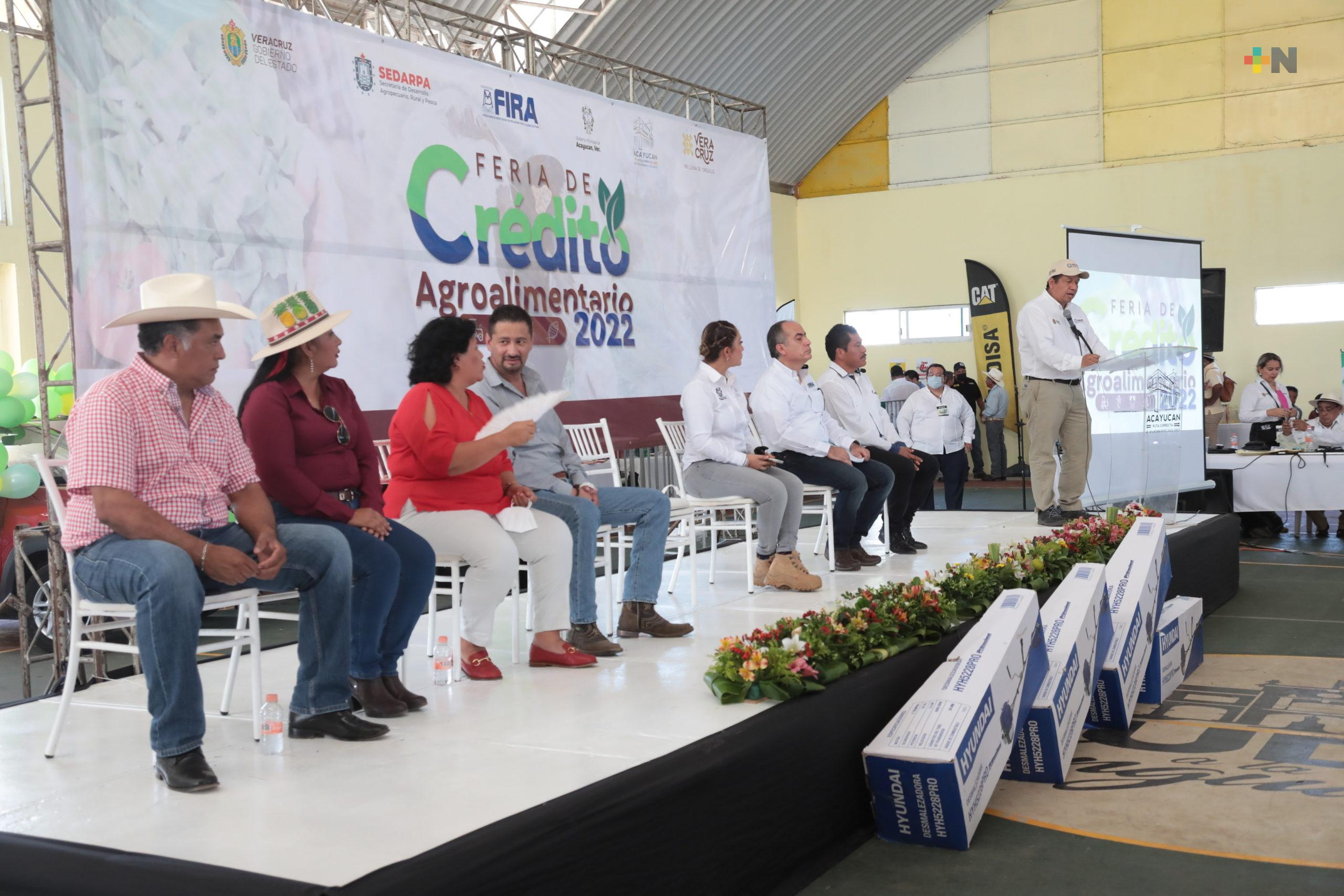 Veracruz es la segunda mejor economía agropecuaria, productores obtienen créditos por 30 mil mdp