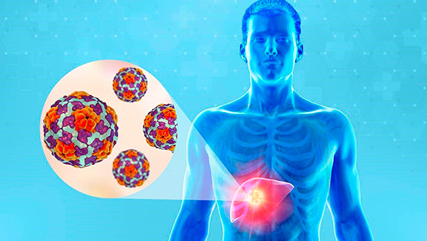 Sector Salud brinda servicios de detección, atención y tratamiento gratuito de hepatitis C