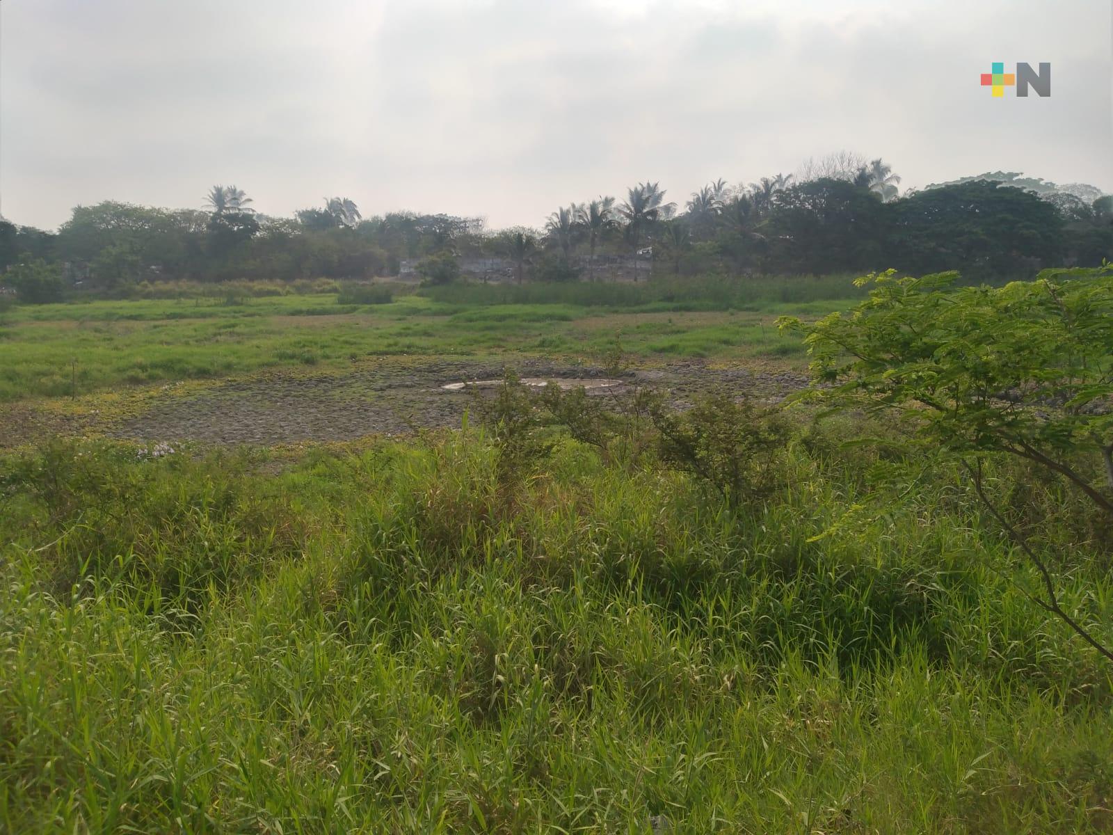 Se extingue Laguna de Tarimoya