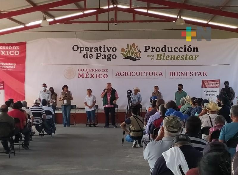 Productores veracruzanos recibirán recursos del programa «Producción para el Bienestar”