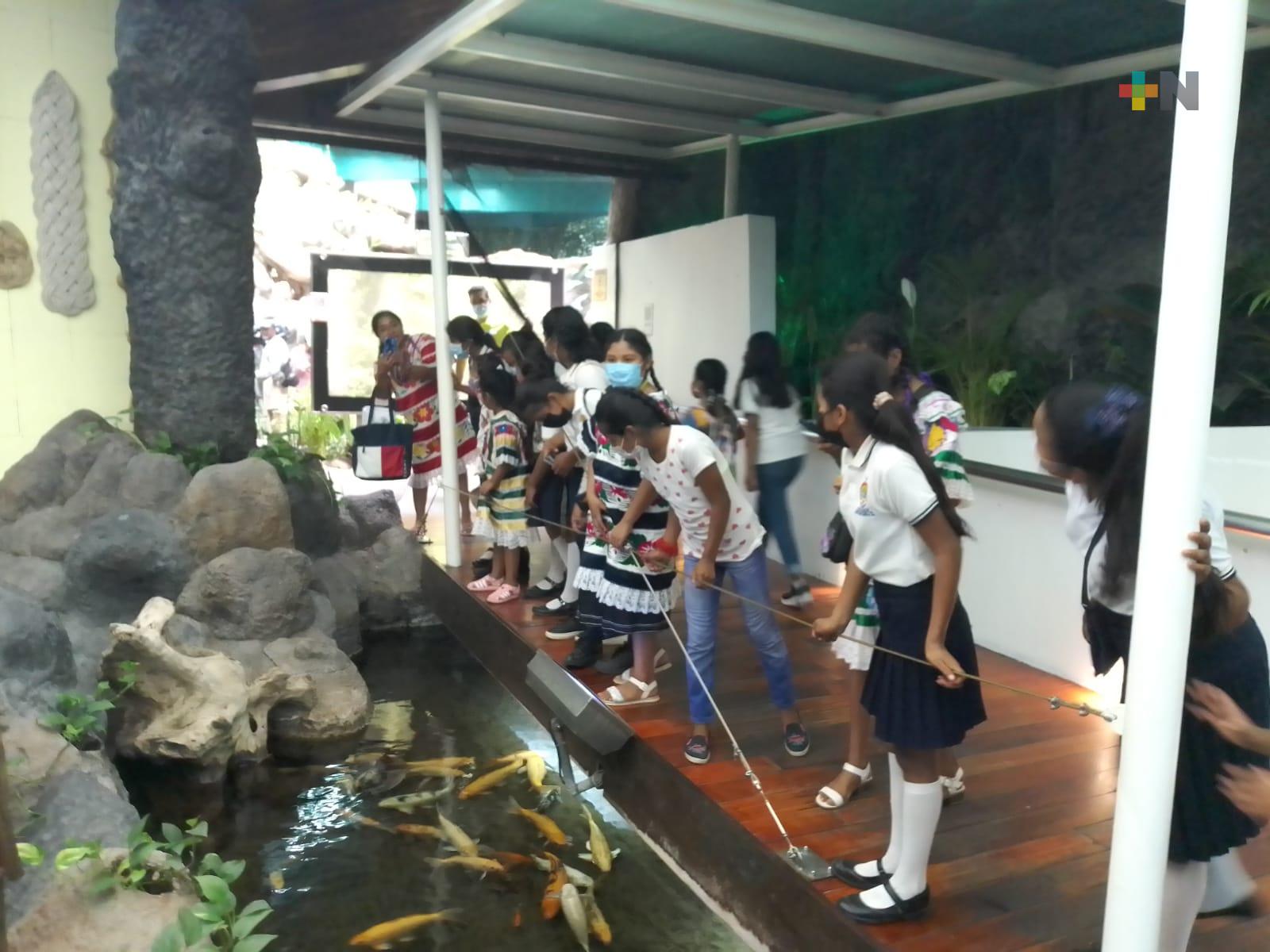 Invitan al taller de verano en el Aquarium del Puerto de Veracruz